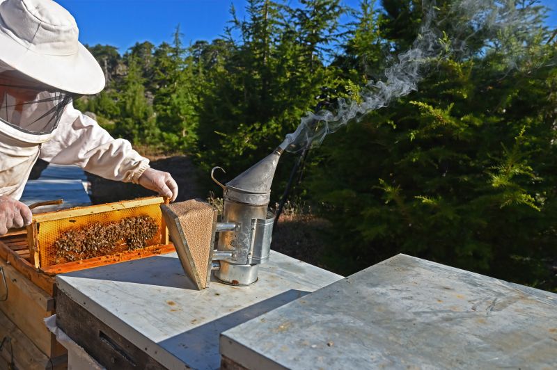 beehive removal