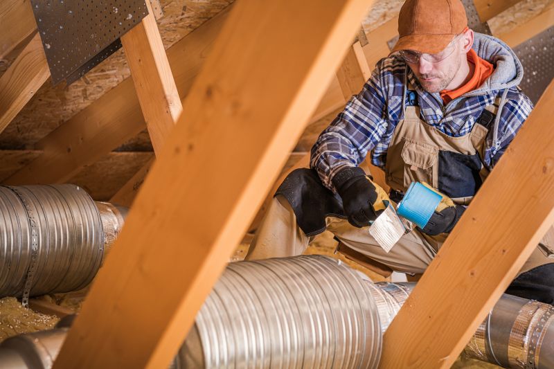 Beehive Removal in Attic