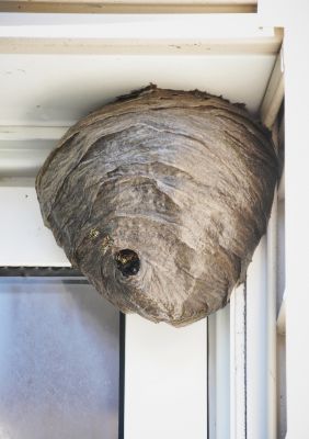 Protects Property